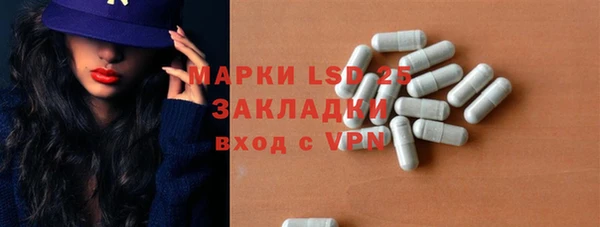 гашиш Богданович