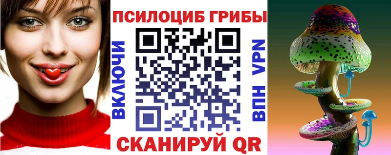 Псилоцибиновые грибы Psilocybine cubensis Ершов