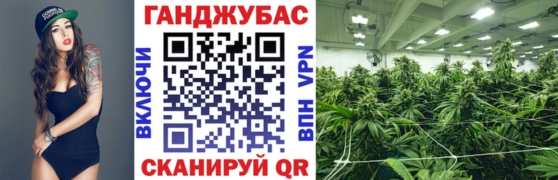 купить закладку  Ершов  OMG ССЫЛКА  Марихуана семена 